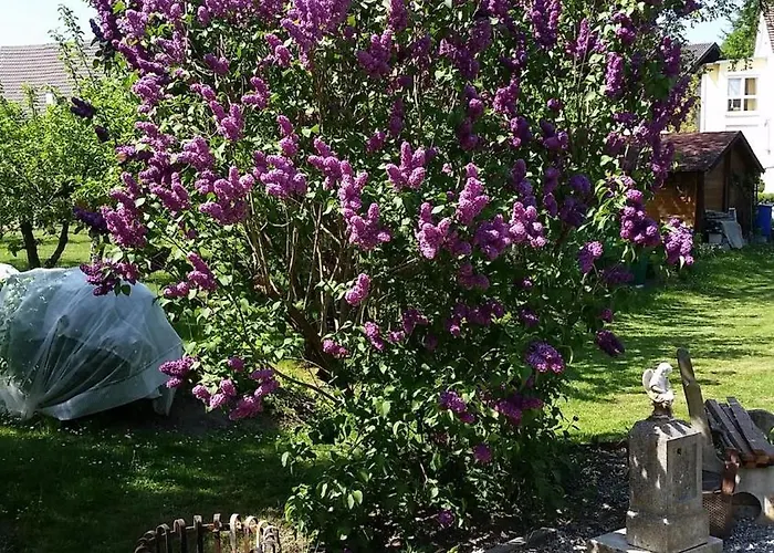 Bohlingen - Haus 26 Singen